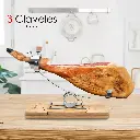 71yRodTTgoL._AC_SL1500_.webp