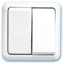 interruttore doppio 65x65mm superficie bianca 10A 250V Evolution GSC