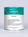 Molykote TP-42 PSTE (BOTE 1KG)