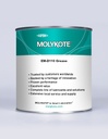 Molykote P-37 PSTE (BOTE 500G)